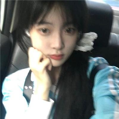 观鸟者指导大全